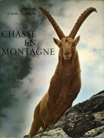 CHASSE EN MONTAGNE